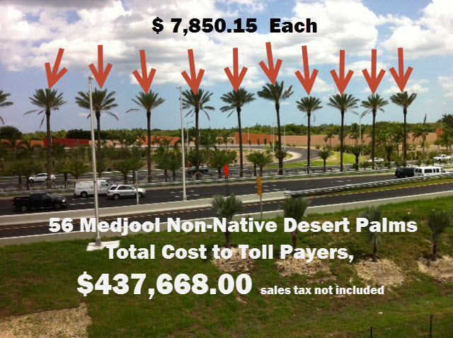 874 palm trees with cost arrows